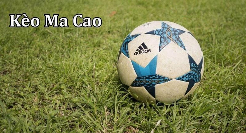 keo macao la gi kinh nghiem cho keo macao